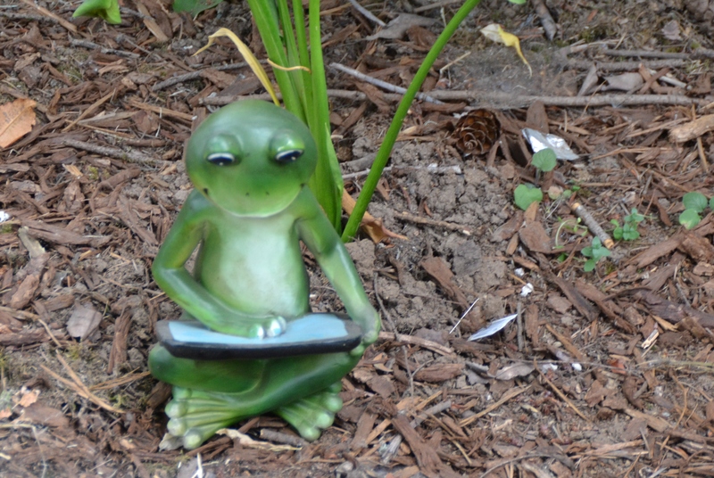 Froggy with its IPAD.
