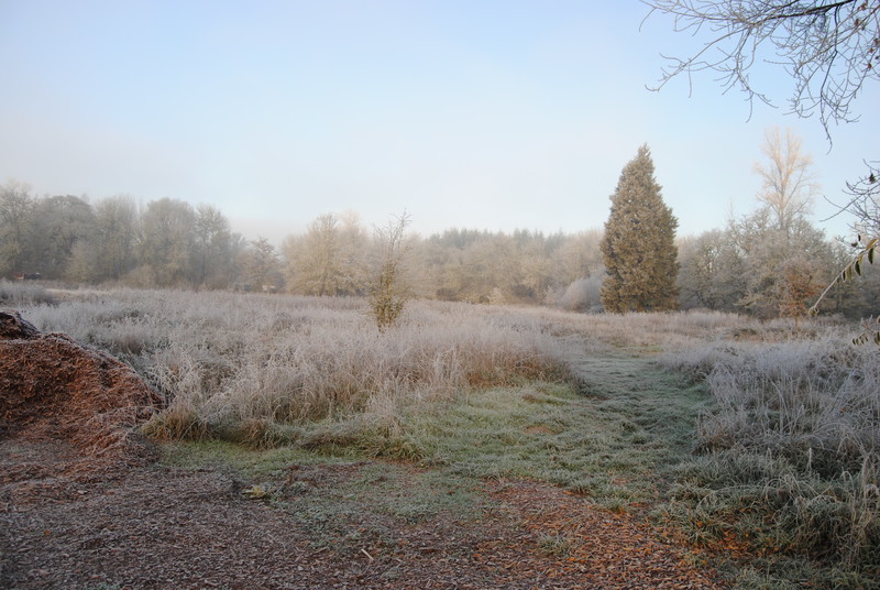 View of the western side of Rosewold on a bright frosty morning.