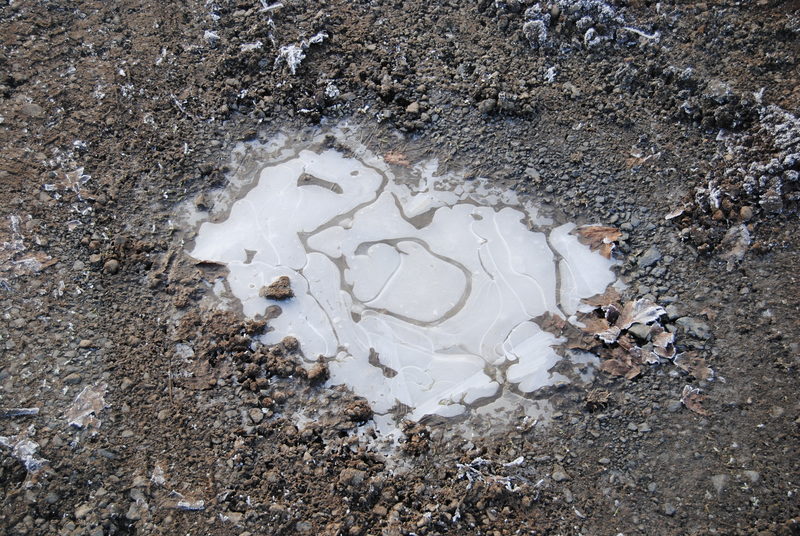 Frozen puddle in the driveway.