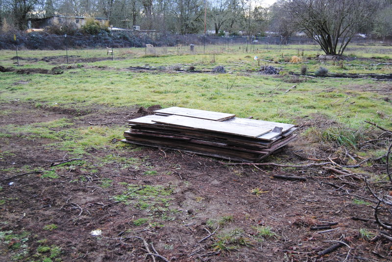 Plywood forms that were removed from the cement work.  Joseph asked that they be left instead of taken to the dump.