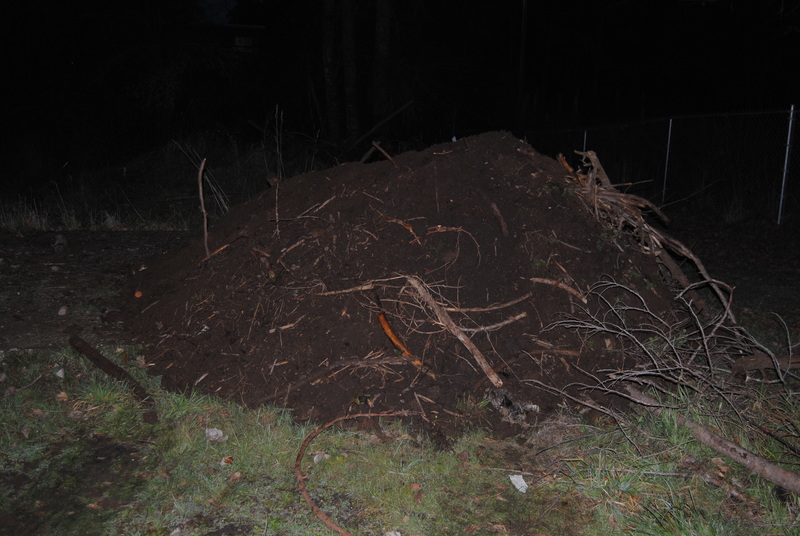Pile of debris from the east side of the east fence along Rosewold lane.
