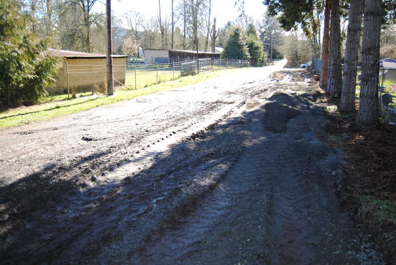Gravel on the west side of Rosewold Lane.