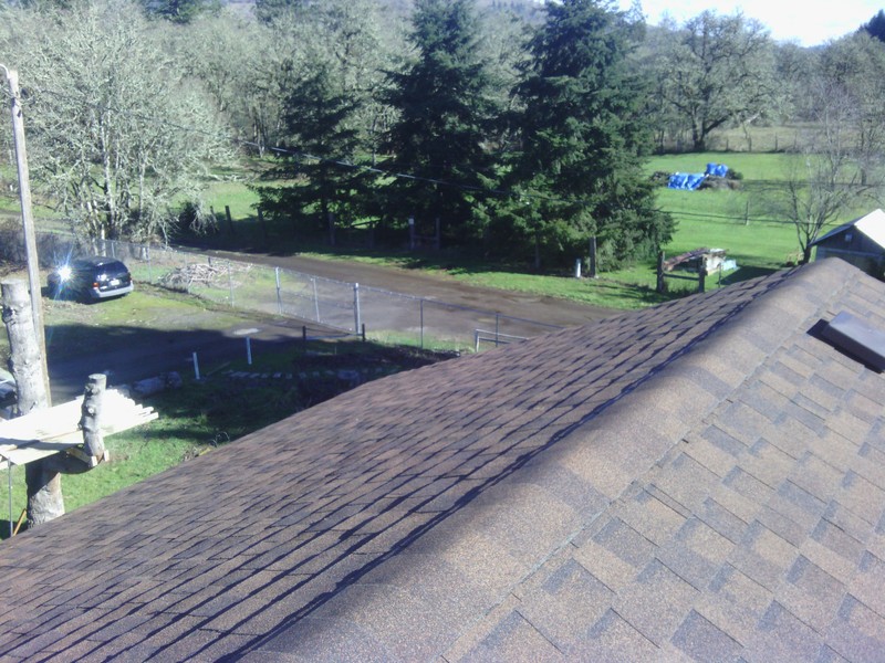 View northeast from the top of the highest roof.