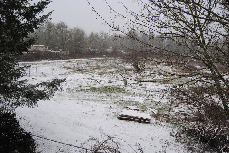View of the outer garden and fairy tree from Lois's Balcony. Snow.