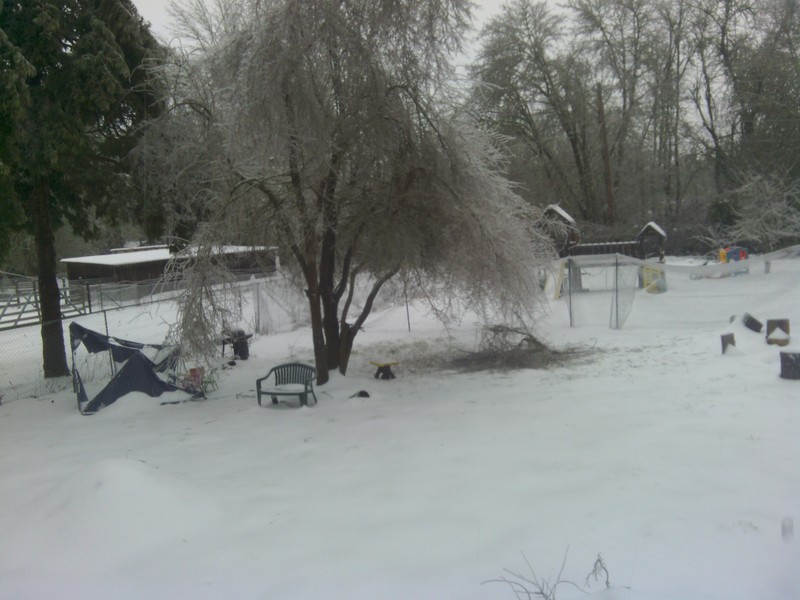 View of the play yard from the back door. Snow.