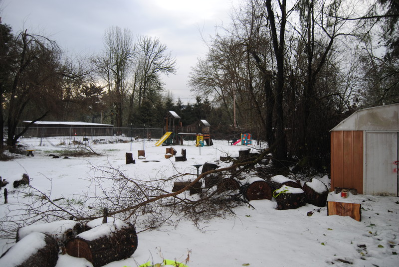 Broken tree branch and a fallen deer fence in the background. Ice storm.