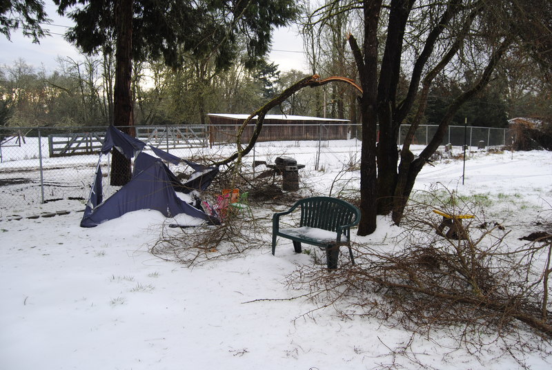 One branch appears to have taken out the canopy.  The deer fence actually ripped in one place because of the weight of the ice. Broken tree branch. Ice storm.