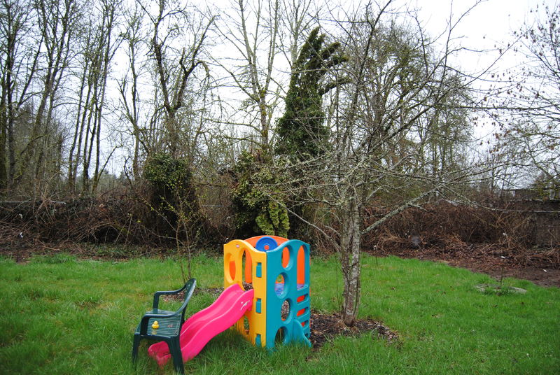 Play structure and apple trees.