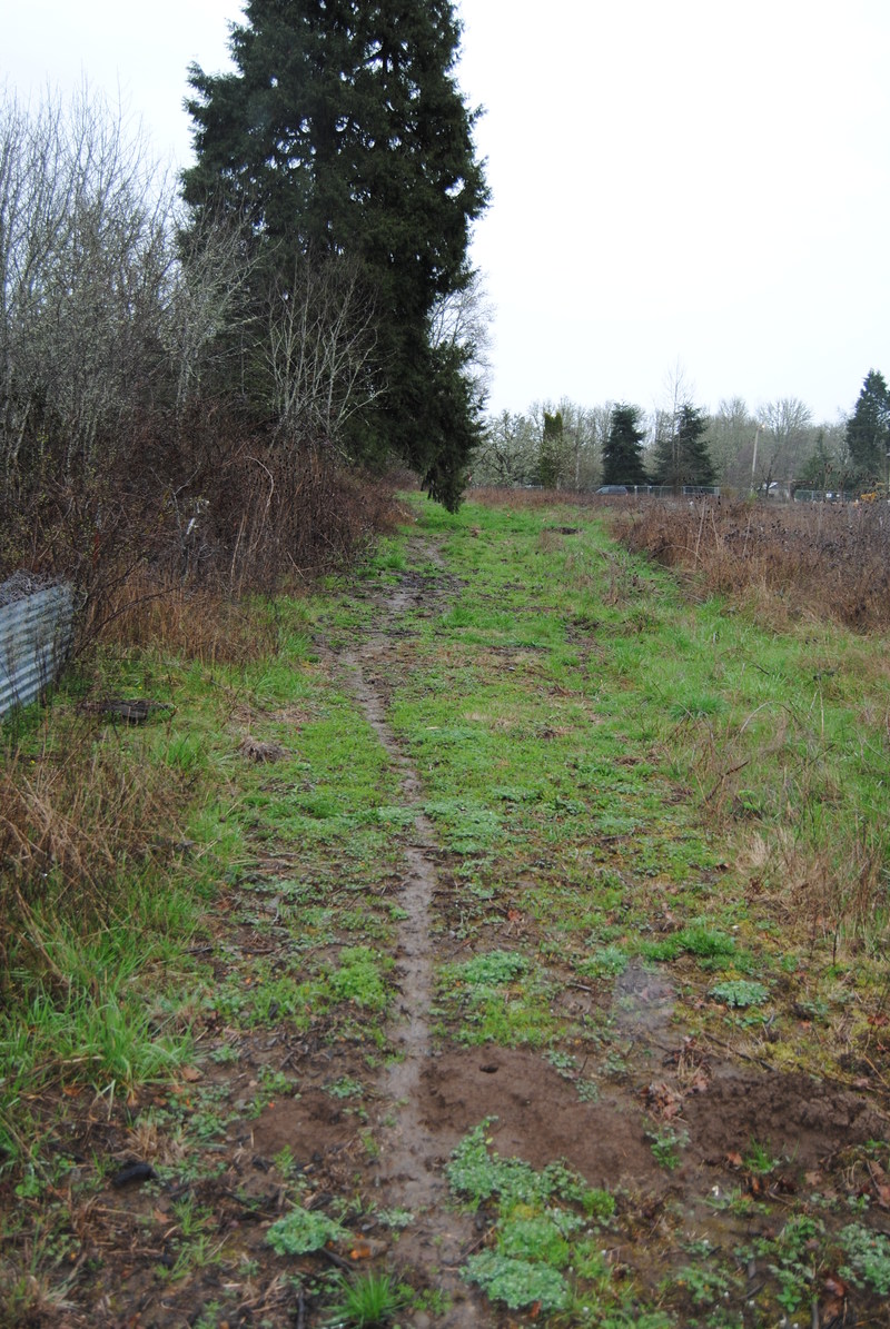 Trail leading east along the north fence line.