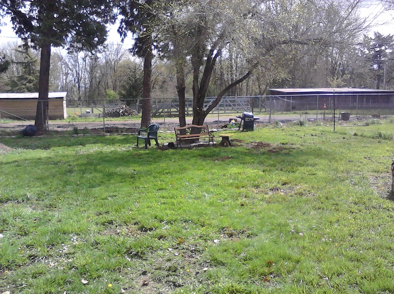 Cleaned up north picnic area.