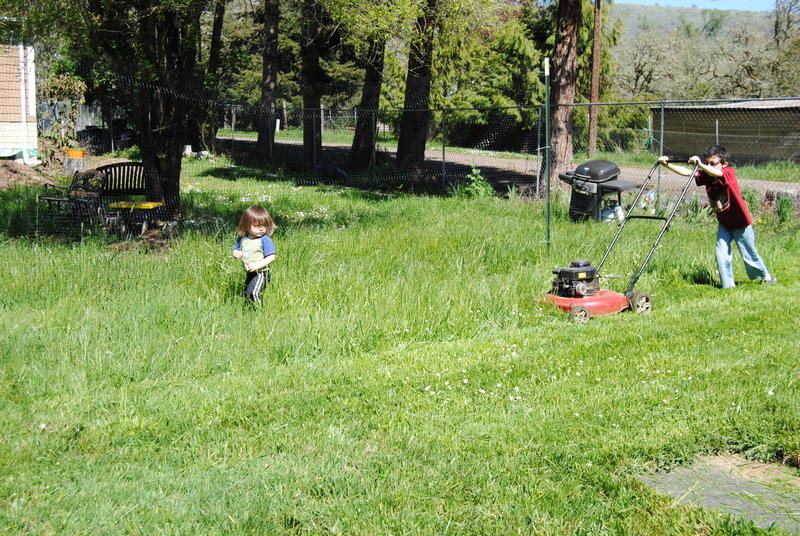 Mikey mowing the grass while Kekoa runs.