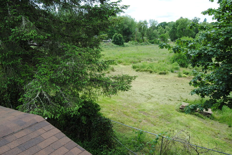 Cut grass from the roof.