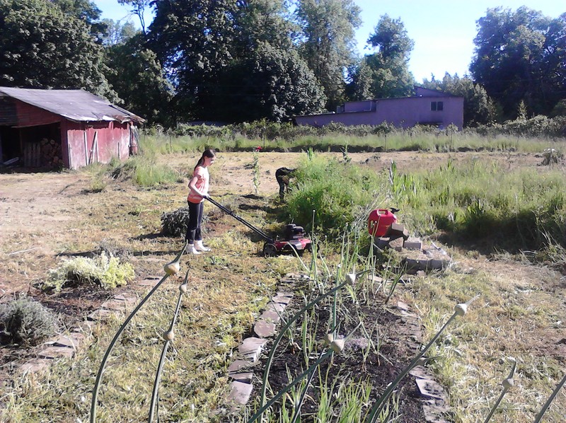 Latia mowing weeds.
