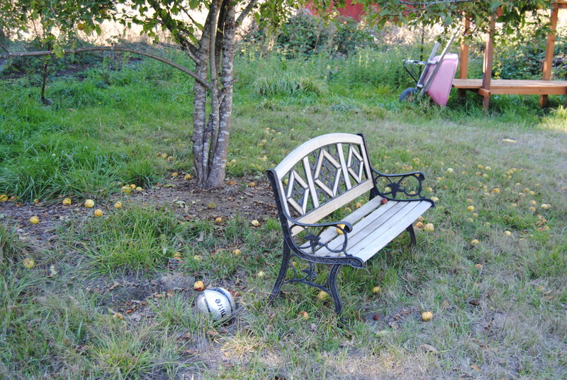 Bench under the apple tree.