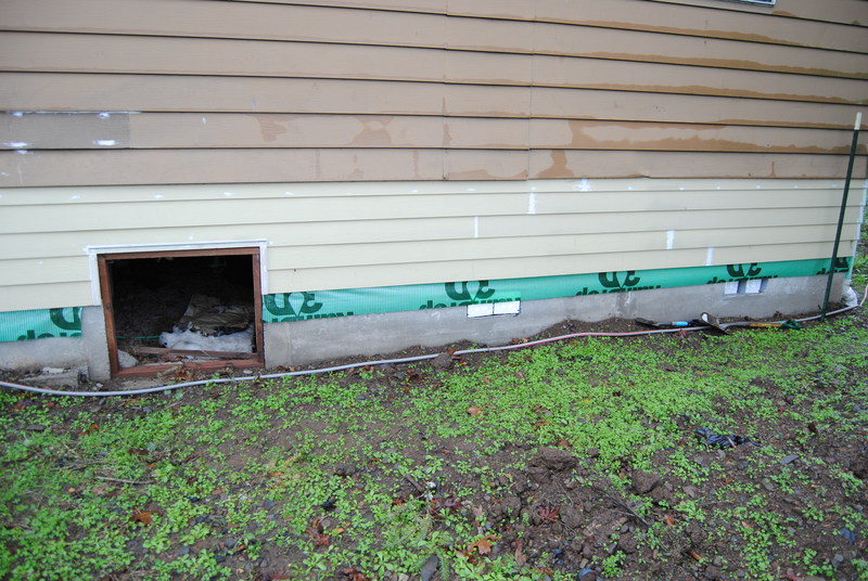 Crawl space opening, west side of the old cottage.