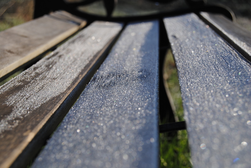 Frost on the bench.