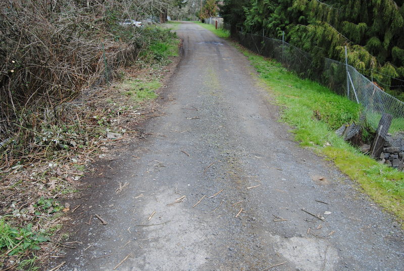 Rosewold Lane crossing the culvert.