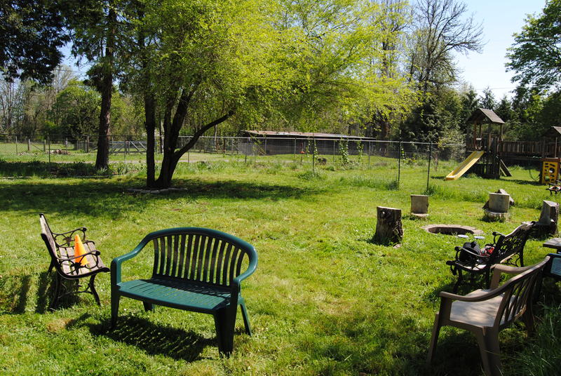 The picnic area after mowing.