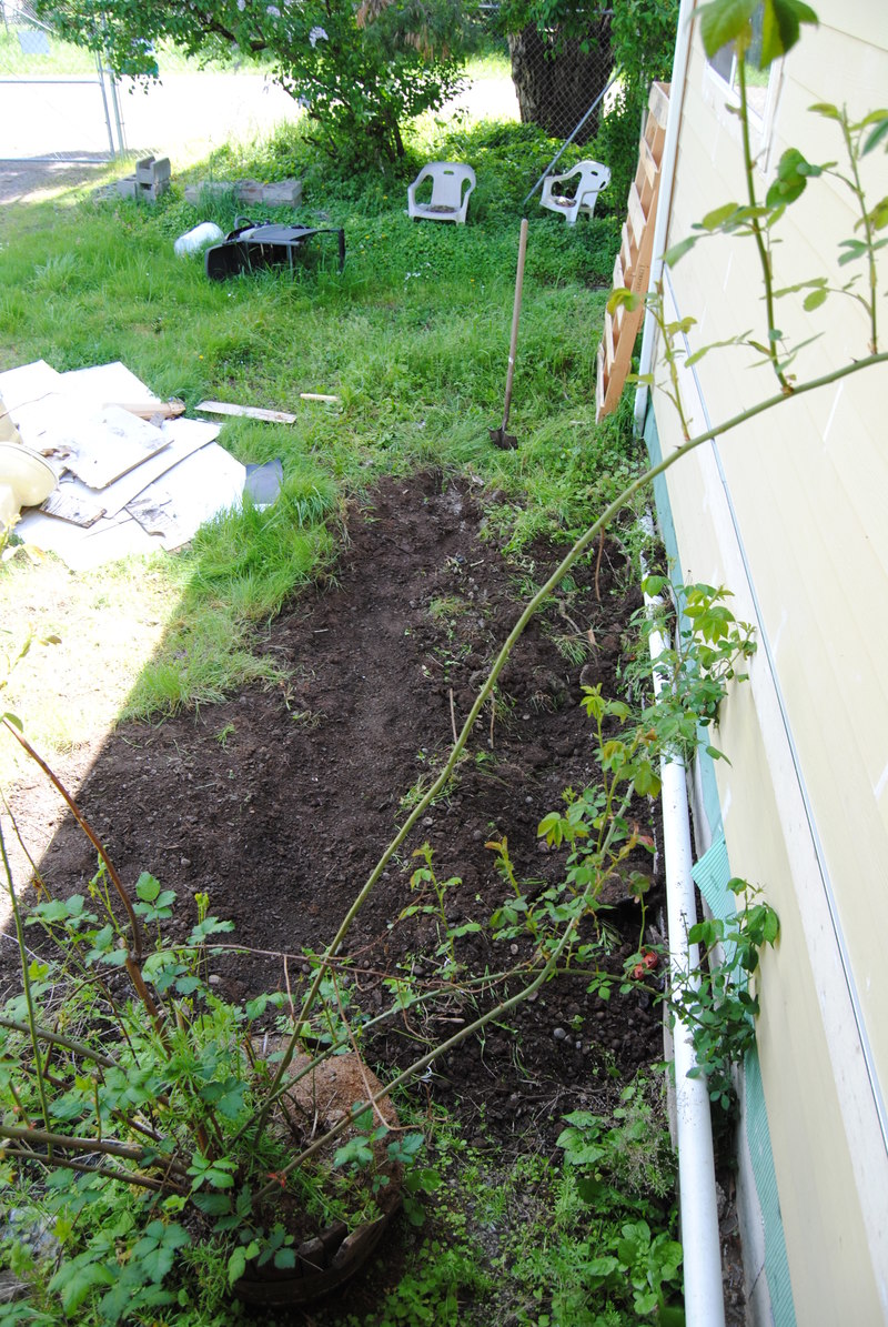 Garden bed after leveling it out a bit.