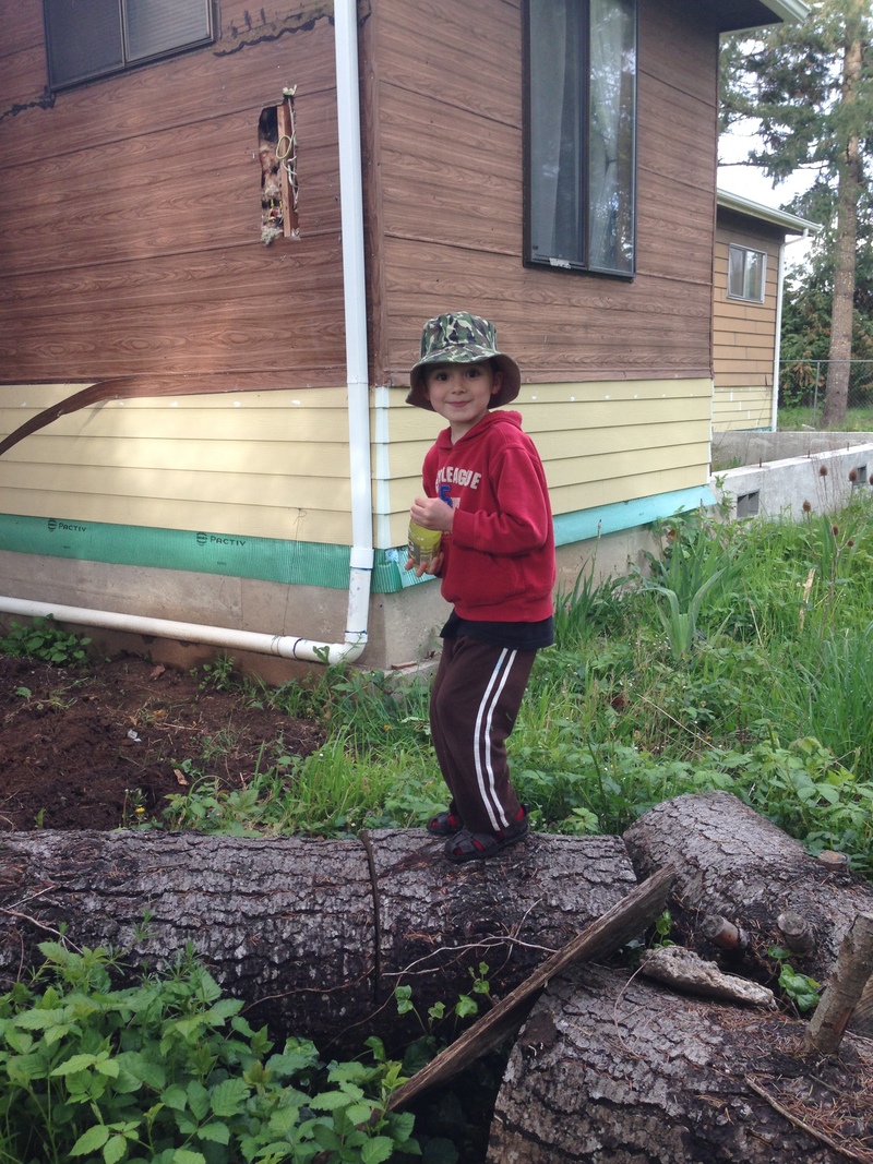 Kili standing on a log.