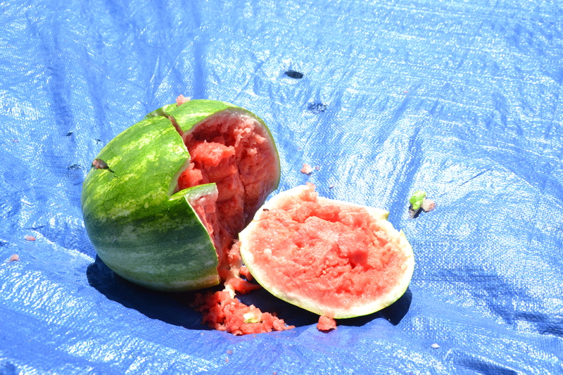 Bashed watermelon.