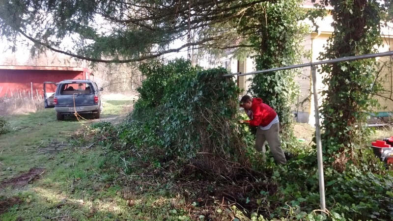 Isaac working on clearing stuff preventing Joseph's truck from pulling the fence off.