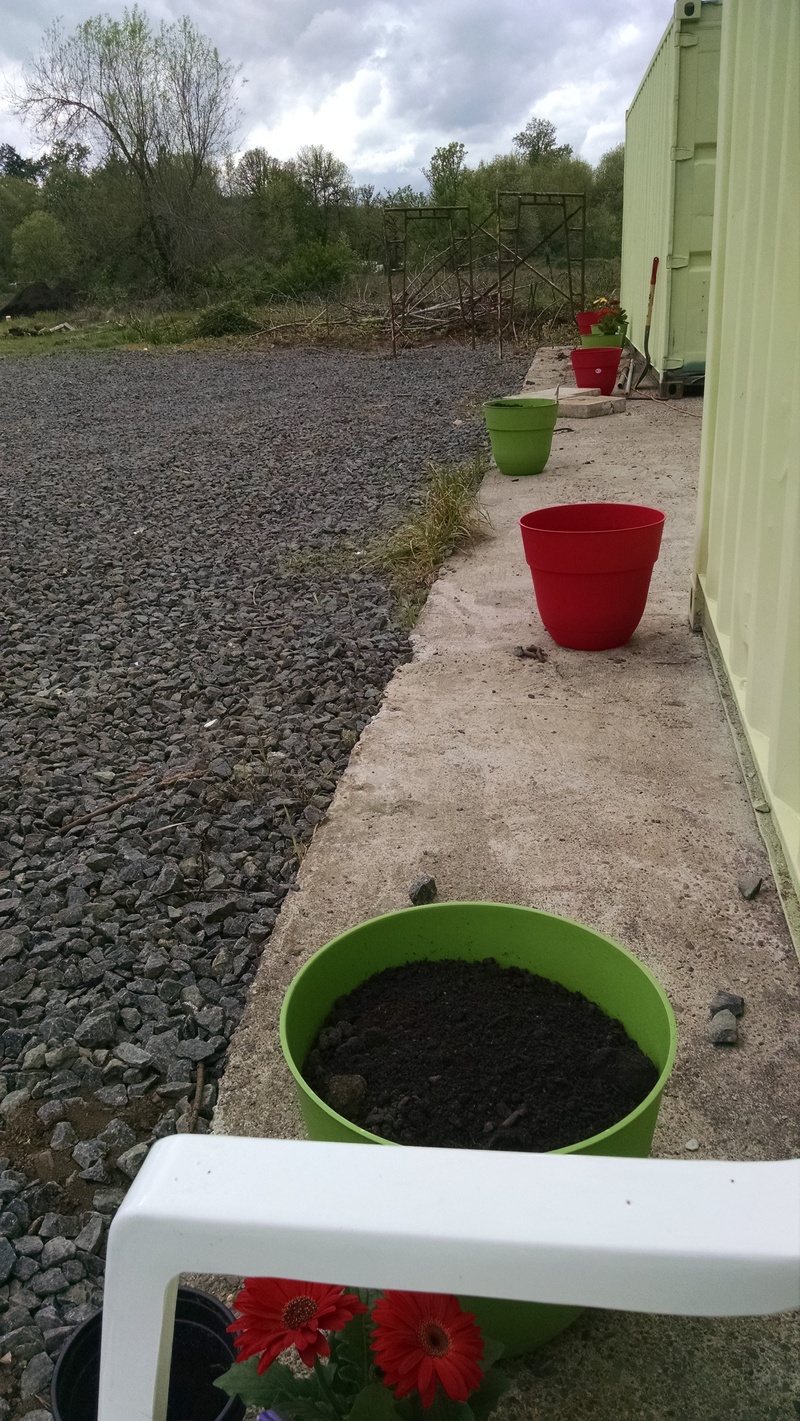 Now the pots have been filled with soil mix and bulbs and flowers planted.