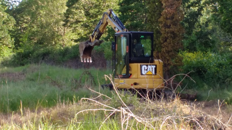 The excavator heads out into the back part of the property, ready to dig a few holes.