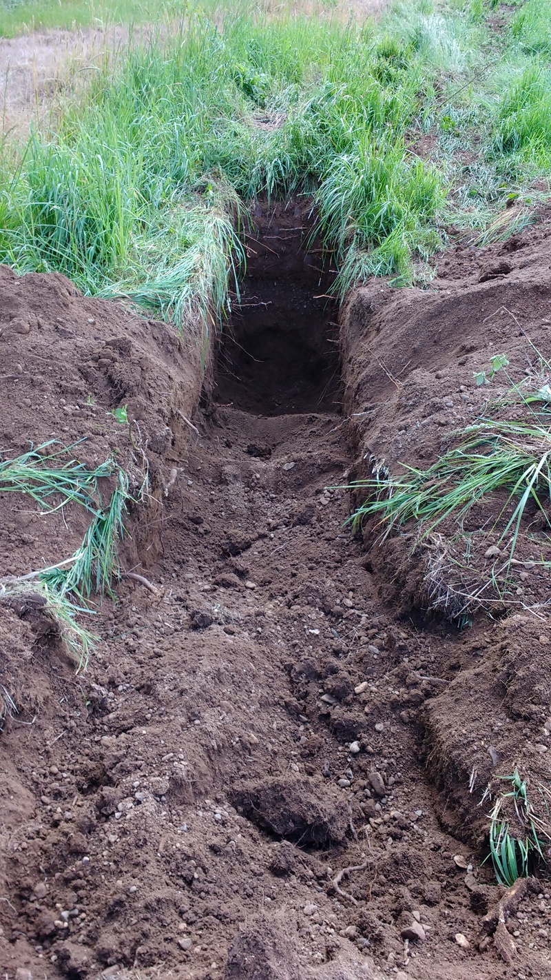 Here is one of the holes that was dug.  Jeff says the soil is perfect for what we are going to do.
