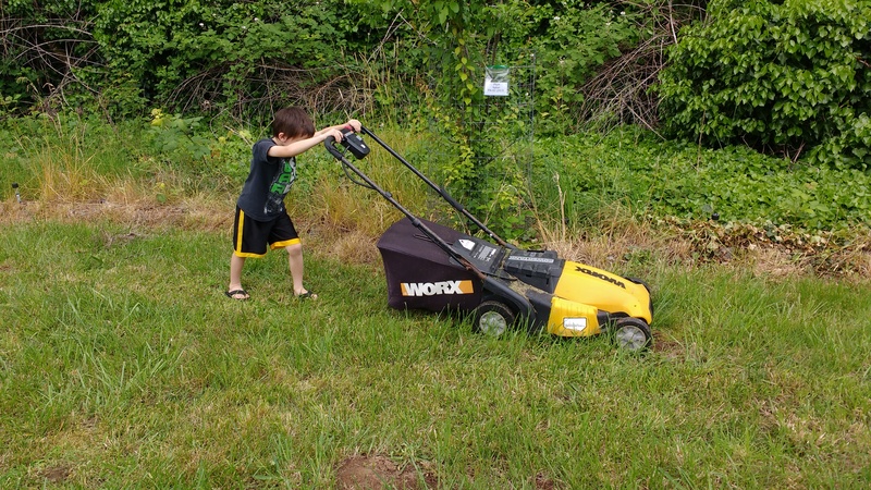 Kili pushes the electric lawn mower. Sometimes it wouldn't move and Grandma would come over and get it to move again.