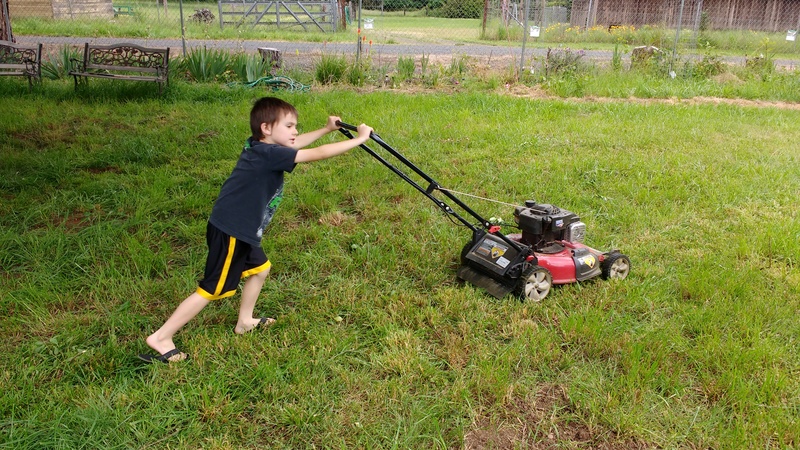 Kili pushes the gas-powered lawn mower. It is easier to push than the electric one.
