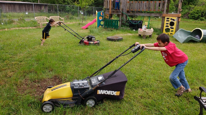 Alex pushes the electric mower. Kili pushes the gas mower.