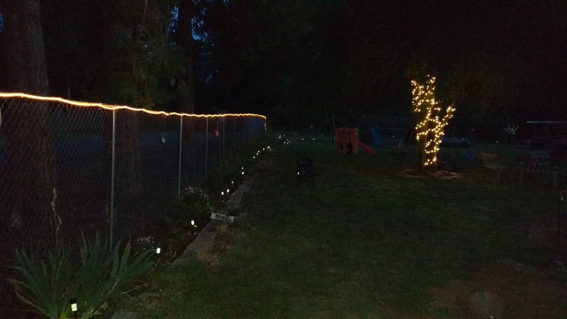 Fence lights. East Elm Tree lights.