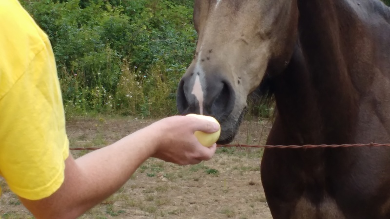 Joseph shares an apple with our neigh-bor.