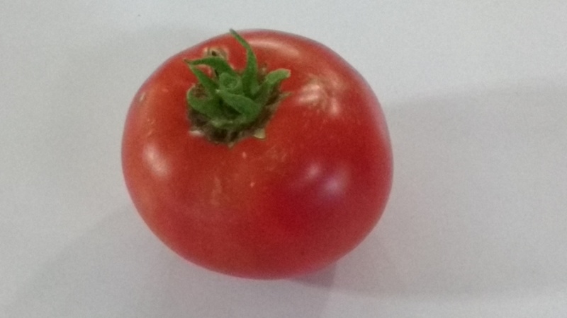 Our first tomato of the season. It was delicious.