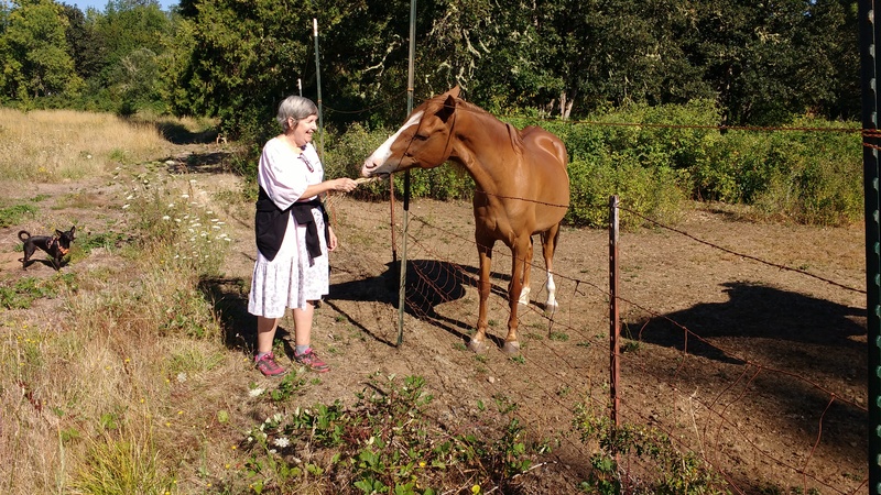 Cindy enjoys feeding the horse. Thomas ended up telling the horses off.