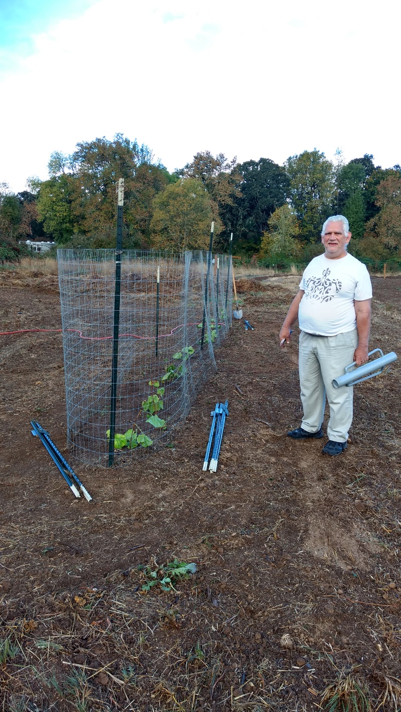 Joseph planted some green grapes and we put a temporary fence around it to possibly protect it from the deer.