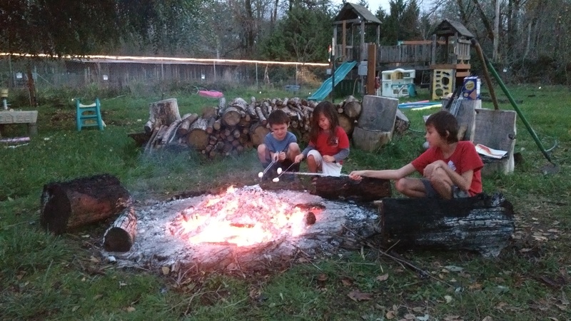 Fire pit has burned down to a very lovely pile of coals. Perfect for marshmallows and s'mores. This was so relaxing.
