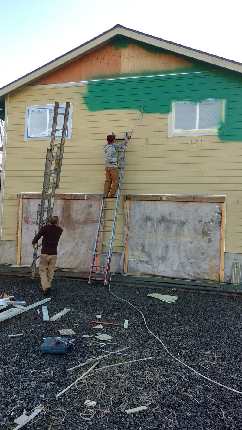Painting the guest house Green. North face.