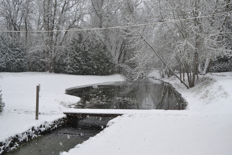 Snowy neighbor's pond