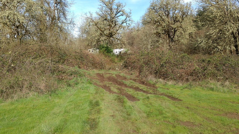 Another view of the scuff marks made by the SUV tires trying to pull Goldie out. The grass will all grow back quickly.