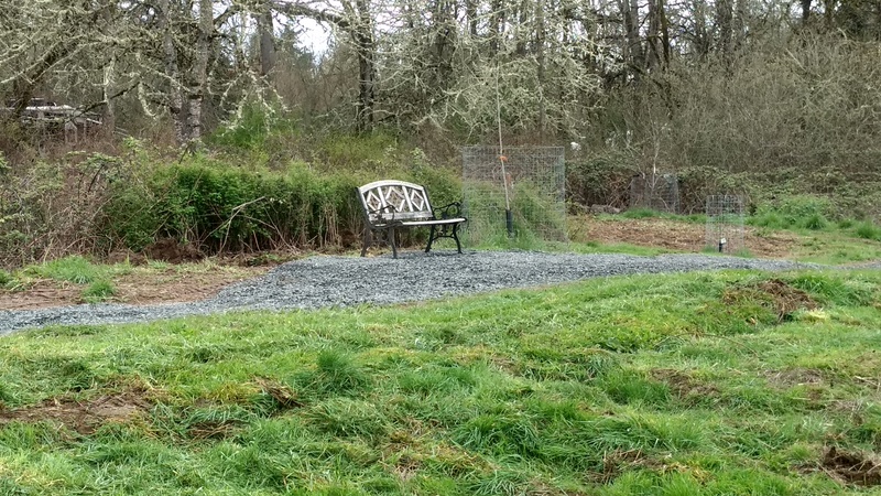 The bench on Sunflower Hill. Notice the nice new gravel pathway.