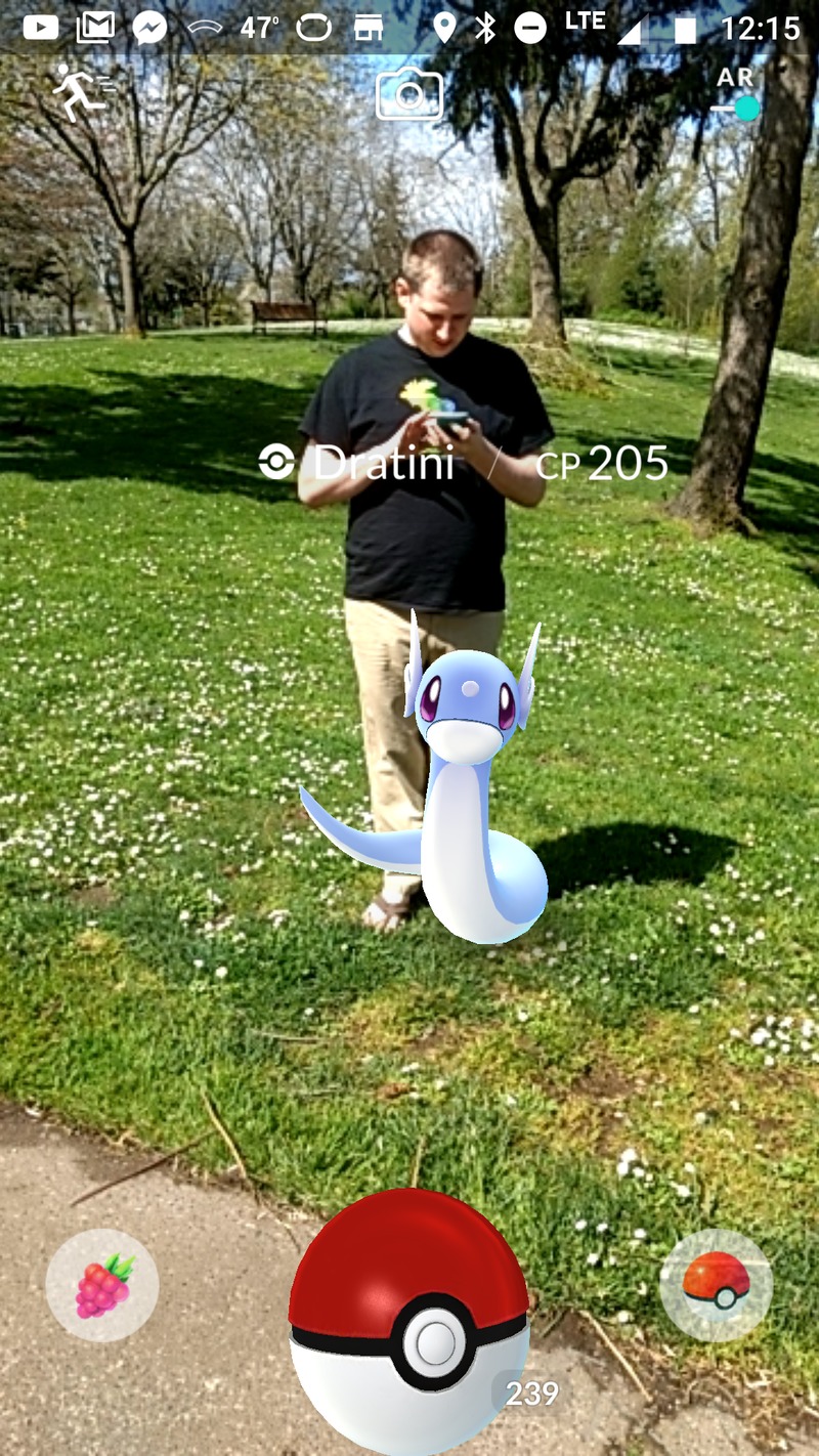 We found a Dratini (a Pokemon character) in a park a few miles from our house.