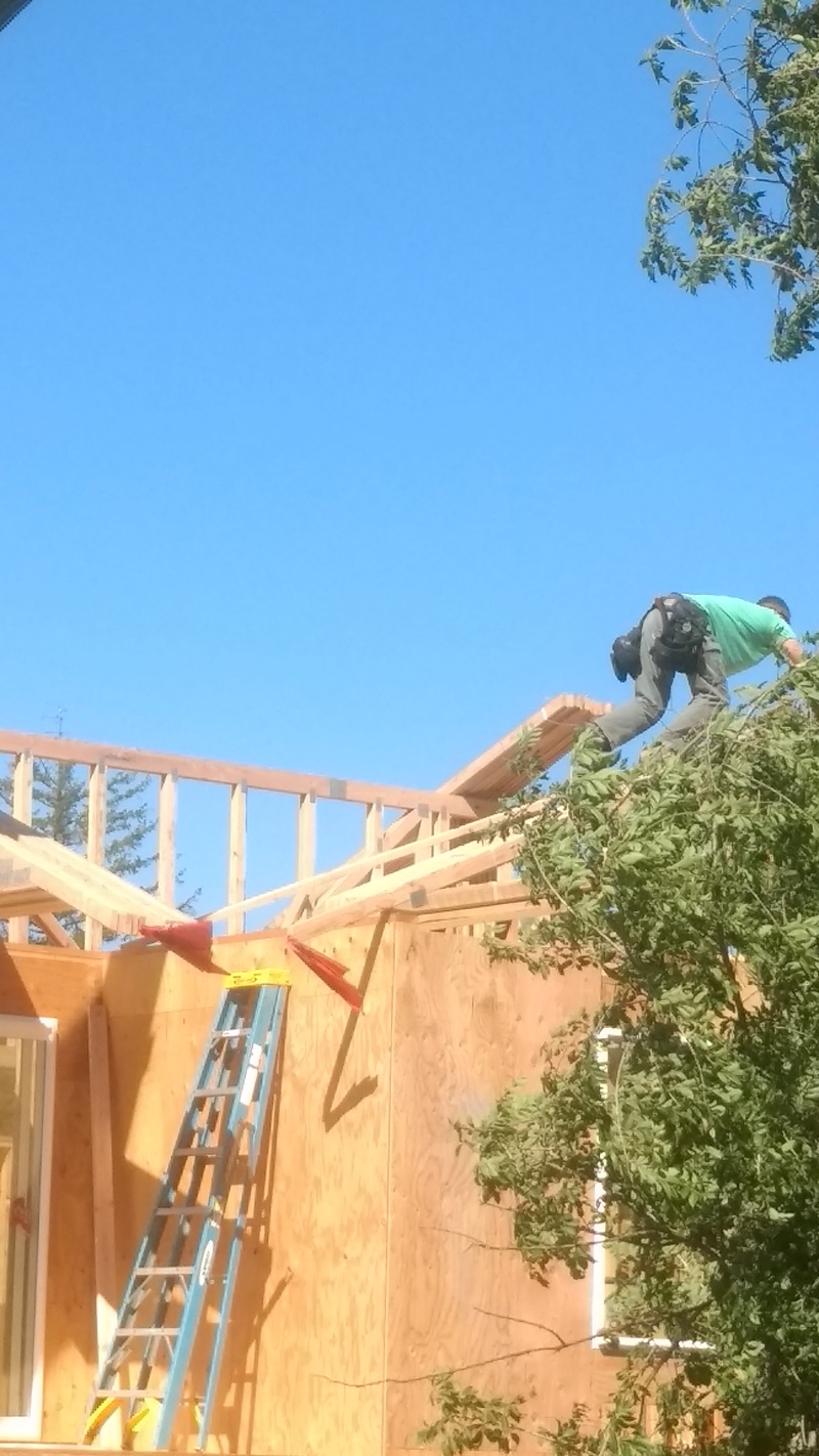 I don't have anywhere near the courage to scamper out on the trusses like that.
