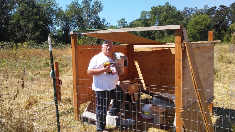 Improvements to the hen house. Notice the laying box on the wall. Notice Don holding the drill and screws that Joseph used to put everything together.
