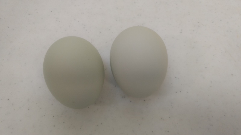 Two eggs we found on our front porch.