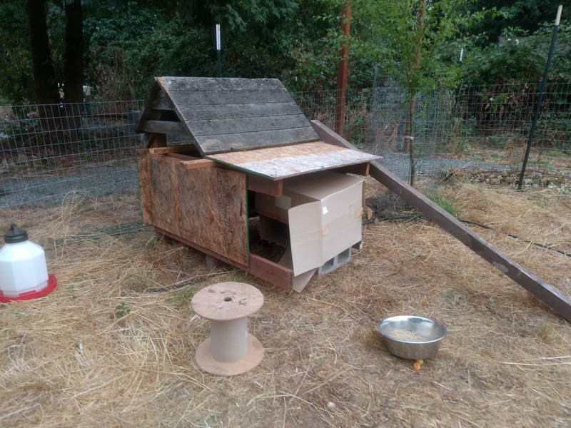 Chicken coop: finished.