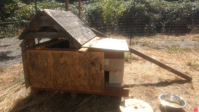 Chicken coop: finished.