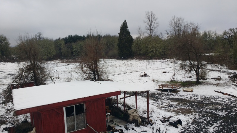 Isaac shows the snow accumulation at Rosewold. View of the red shed from Lois's Loft balcony.