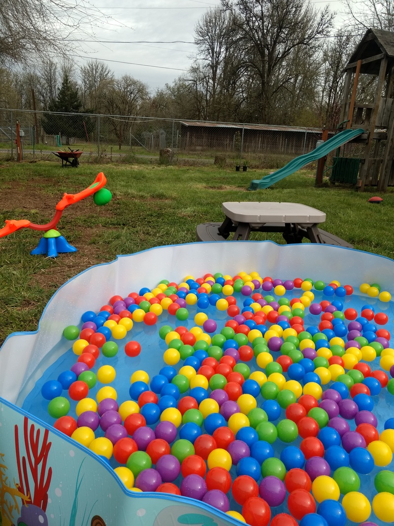 Wading Pool with balls